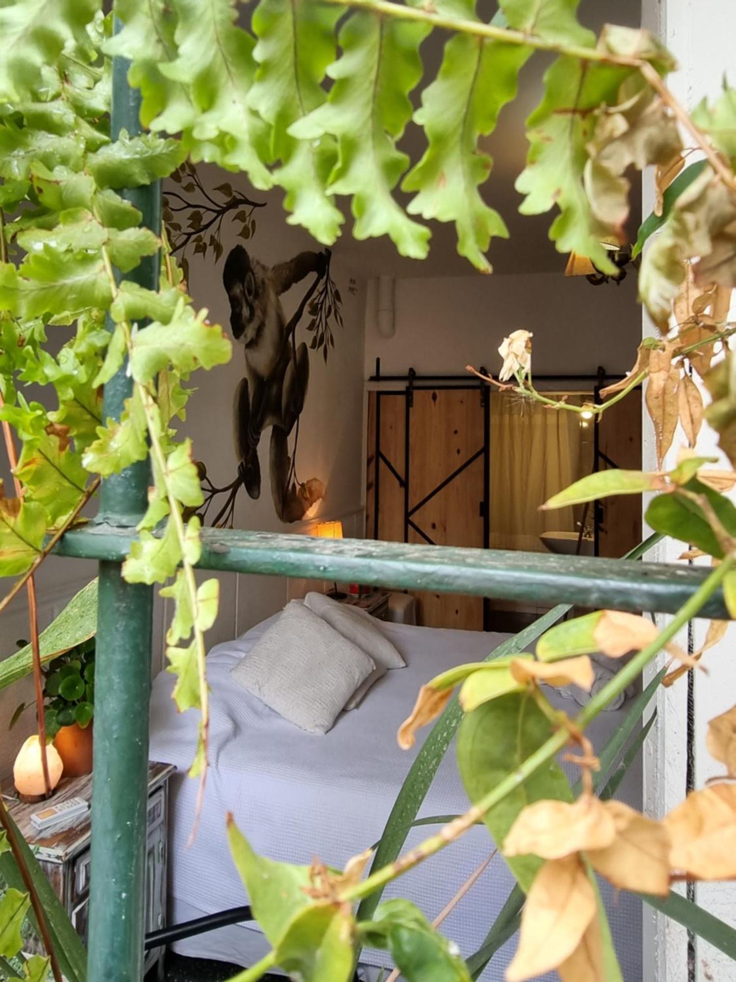Hostel Yunga Salta Pokoj fotografie